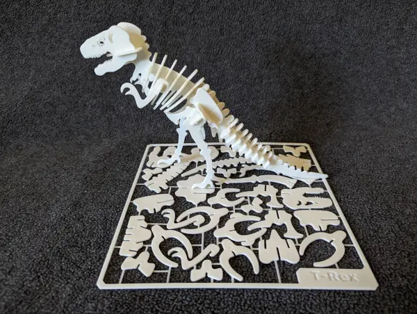 Cartão do kit de esqueleto de T-Rex